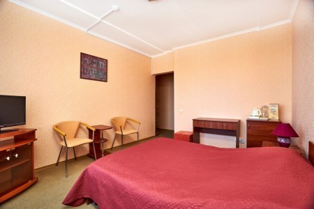 Комфорт 1-местный , фото 6