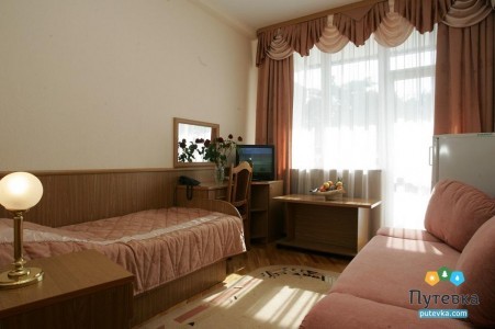 Стандарт 1-местный вид на парк (коэф. комф. 0,76) , фото 3